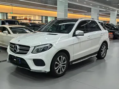 Mercedes-Benz 奔驰GLE(进口) · 2016 год