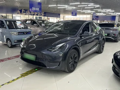 Tesla Model Y · 2024 год