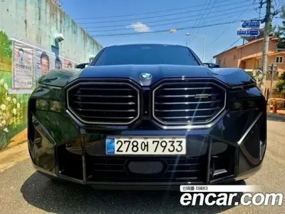 BMW XM 2024, 55000 км, за 85335.43 USD