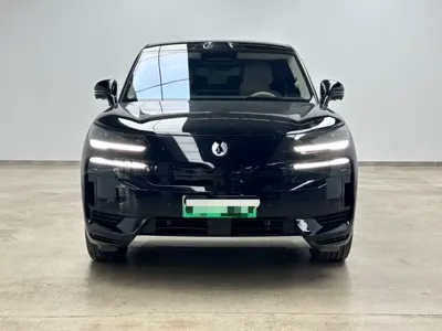 Denza 腾势N9