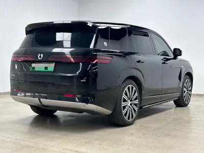 Denza 腾势N9