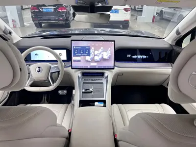 Denza 腾势N9