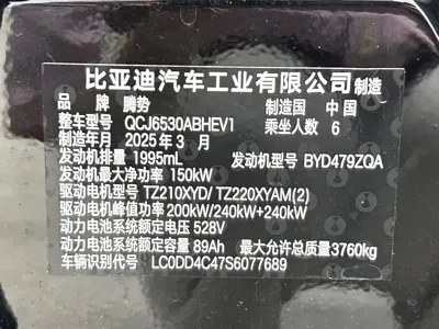Denza 腾势N9