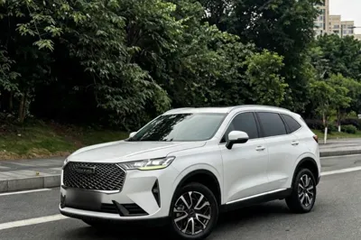 Haval H6 · 2021 год