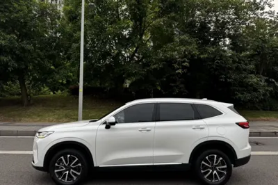 Haval H6 2021, 38800 км, за 10622 USD - фото 29