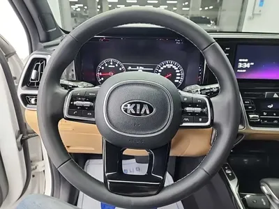Kia Sorento 2021, 173081 км, за 12026.26 USD - фото 9
