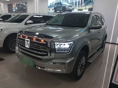 Tank 500 New Energy · 2024 год