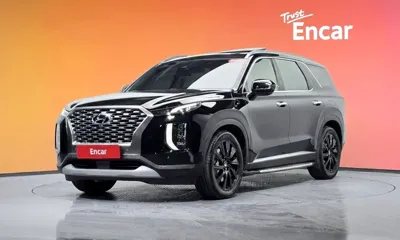 Hyundai Palisade · 2019 год