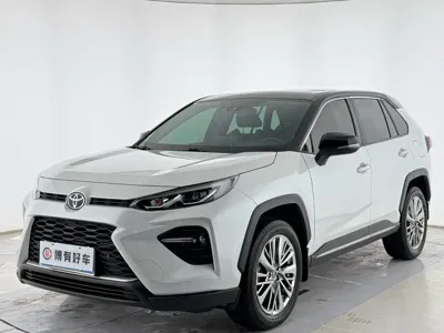 Toyota Wildlander · 2020 год