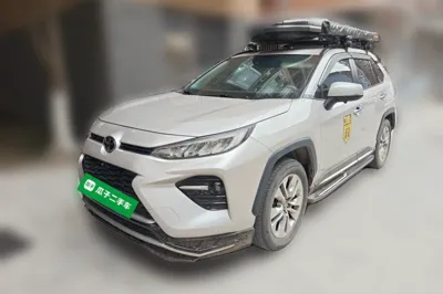 Toyota Wildlander · 2020 год