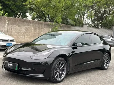 Tesla Model 3 · 2024 год