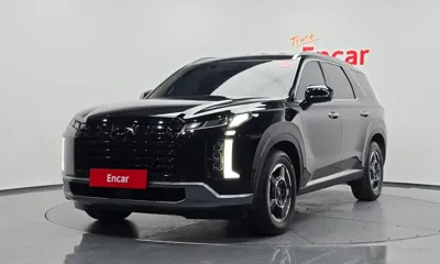 Hyundai Palisade · 2024 год