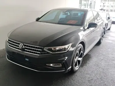 Volkswagen Magotan · 2024 год