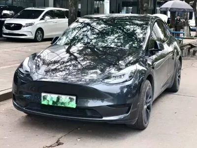 Tesla Model Y L · 2025 год