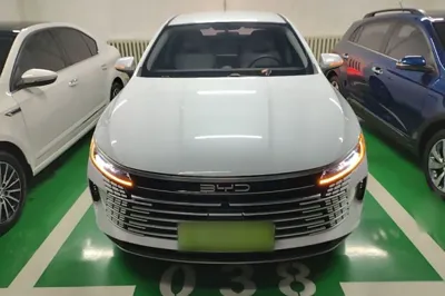 BYD Destroyer 05 2023, 25500 км, за 10022 USD