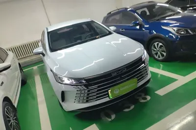 BYD Destroyer 05 2023, 25500 км, за 10022 USD