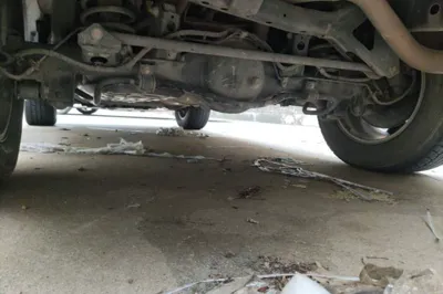 Haval H9 2020, 115600 км, за 15972 USD - фото 28