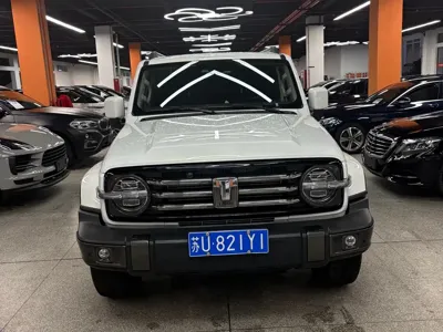Tank Tank 300 · 2022 год
