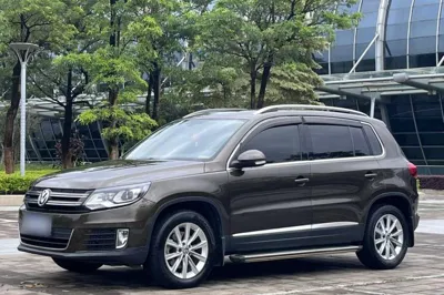 Volkswagen Tiguan · 2015 год