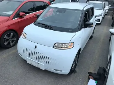 ORA Ora White Cat 2020, 76700 км, за 5547.27 USD