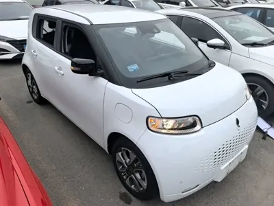 ORA Ora White Cat 2020, 76700 км, за 5547.27 USD