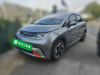 BYD Dolphin · 2021 год