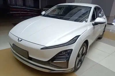 Wuling Xingguang · 2024 год