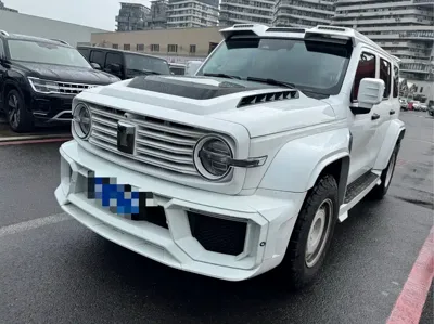Tank Tank 300 · 2023 год