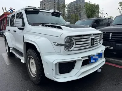 Tank Tank 300 2023, 23000 км, за 20129.1 USD