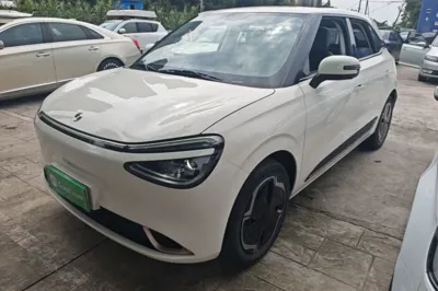 Dongfeng NAMMI 01 · 2024 год