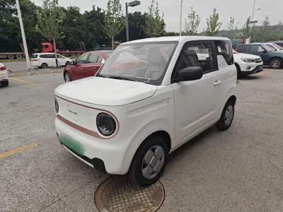 Geely Panda · 2024 год
