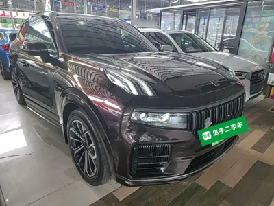 Lynk & Co 09 EM-P 2021, 95800 км, за 20907 USD - фото 3
