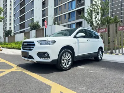 Haval H6 · 2019 год