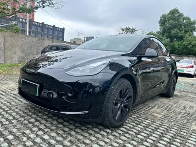 Tesla Model Y · 2023 год