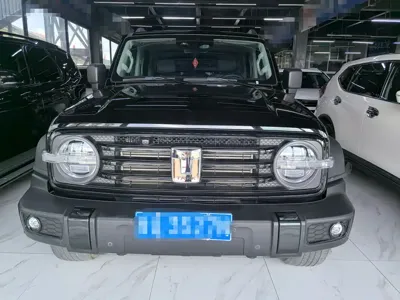 Tank Tank 300 2021, 54000 км, за 18657.67 USD