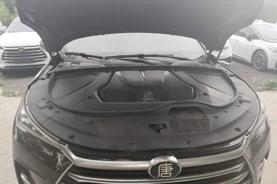 BYD Tang New Energy 2023, 76400 км, за 16394 USD - фото 24