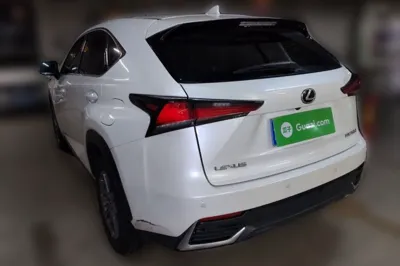 Lexus NX 2020, 79000 км, за 20785 USD - фото 6