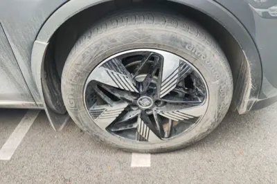BYD Tang New Energy 2024, 45700 км, за 17038 USD - фото 8