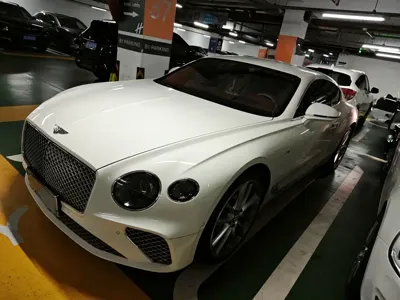 Bentley Continental 2022, 31000 км, за 344019.23 USD