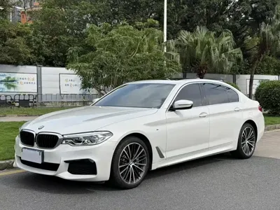 BMW 5 Series · 2020 год
