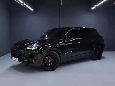 Porsche Cayenne · 2024 год