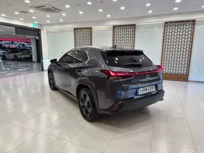 Lexus UX 2025, 18907 км, за 28882.76 USD
