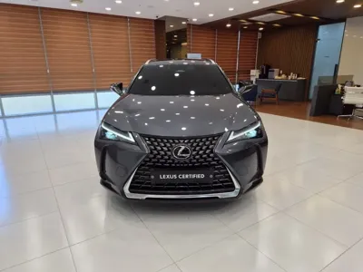Lexus UX 2025, 18907 км, за 28882.76 USD