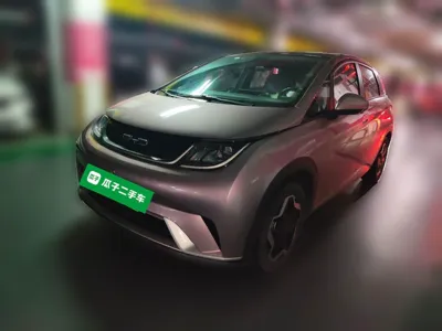 BYD Dolphin · 2021 год