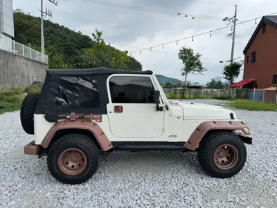 Jeep Wrangler 1997, 160852 км, за 10502.82 USD - фото 6