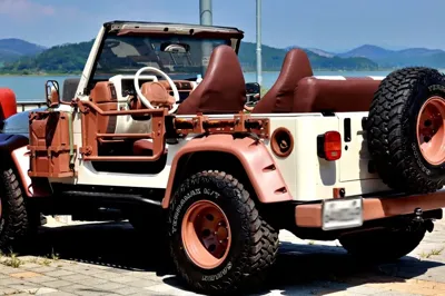 Jeep Wrangler 1997, 160852 км, за 10502.82 USD - фото 12