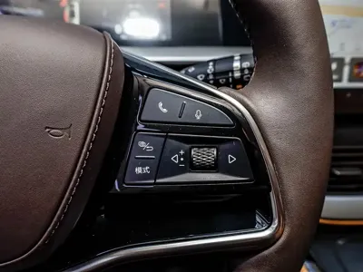 Denza Denza D9 2024, 24100 км, за 33152.07 USD
