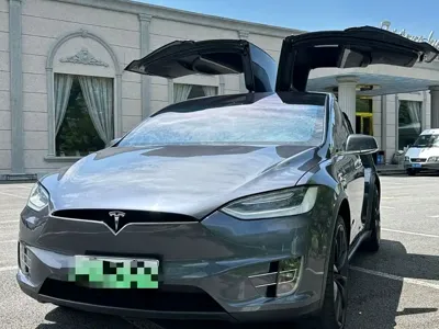 Tesla Model X · 2021 год