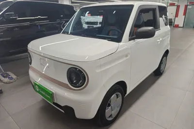 Geely Galaxy Panda · 2023 год