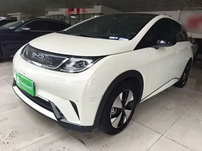 BYD Dolphin 2023, 64500 км, за 8489.98 USD